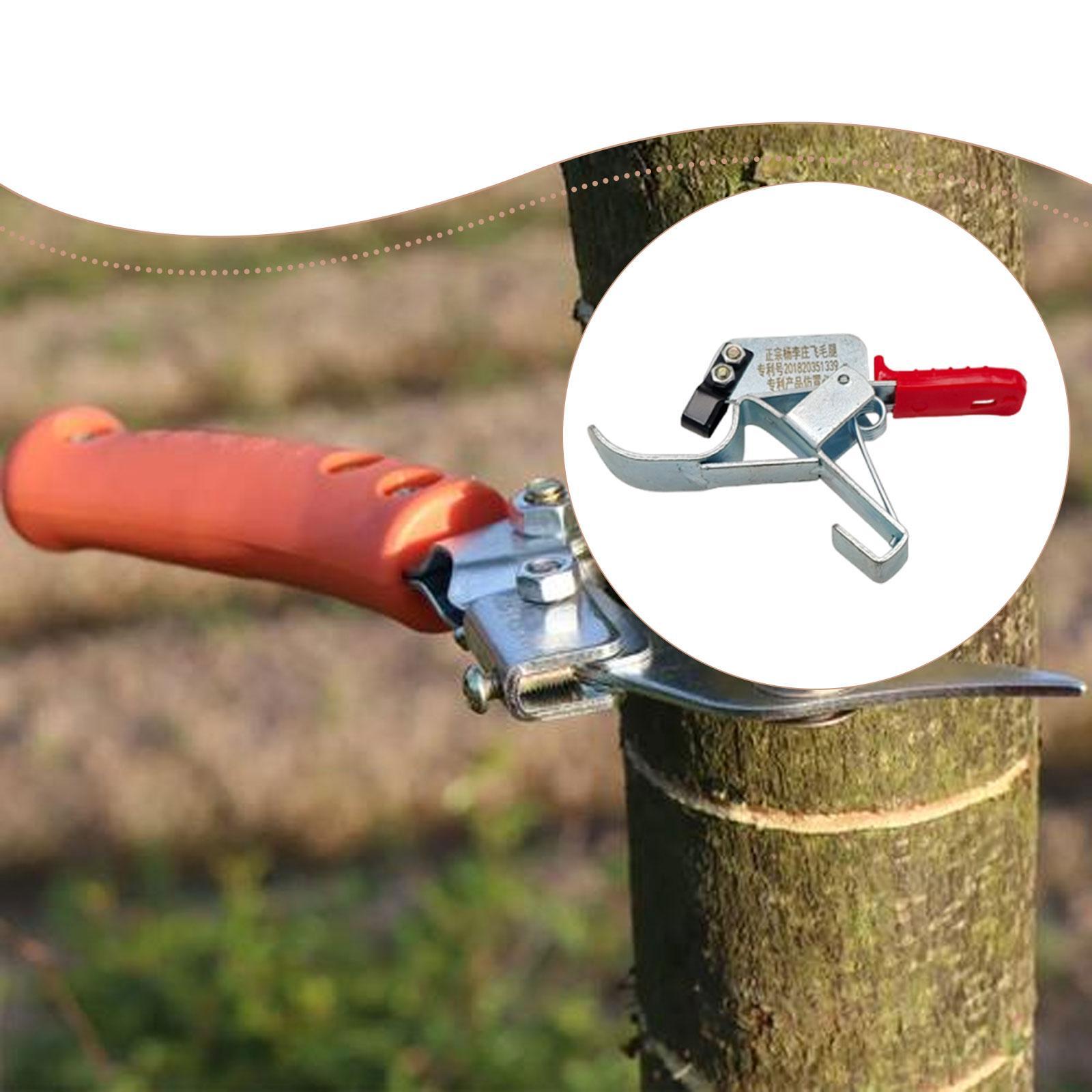 Fruit Tree Girdling Tool, Esse - Gardening Tools Essential recension och pris