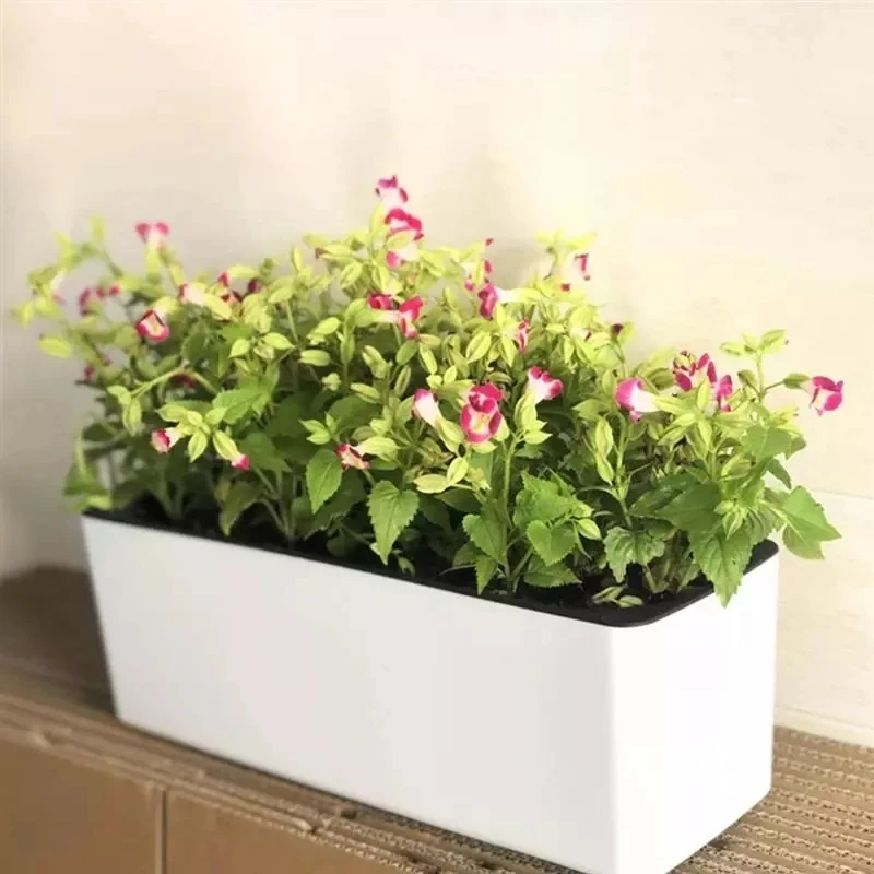 Rectangula Lazy Flower Pot Pot - Automatic Plant Waterer recension och pris
